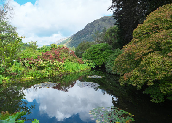 lush garden with vibrant greenery reflecting on calm water beneath a cloudy sky showcasing natural beauty and tranquility of five serene landscapes